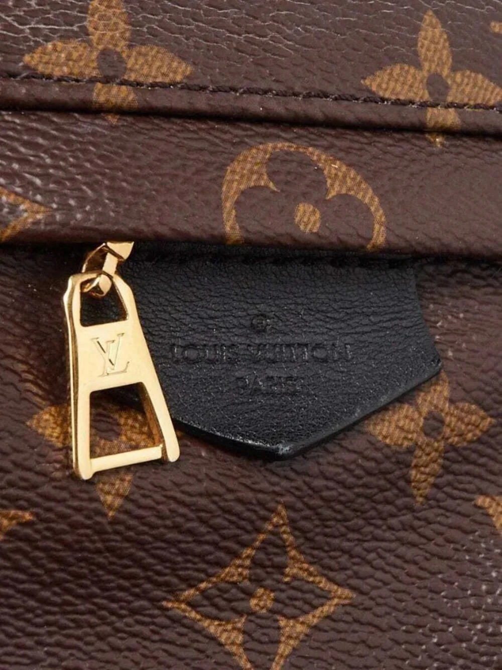 Louis Vuitton Monogram Canvas Palm Springs PM Backpack Bag